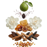 Home Diffuser Casablanca