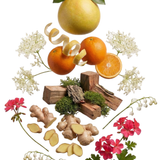 Stockholm Home Diffuser