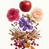 Singapore Home Diffuser