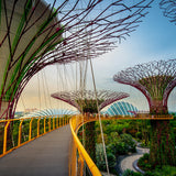 Singapore Giftset
