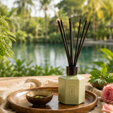 Singapore Home Diffuser